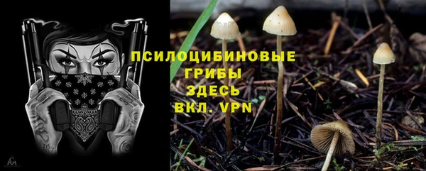 кокаин колумбия Алзамай